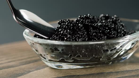 Black Caviar Closeup alt