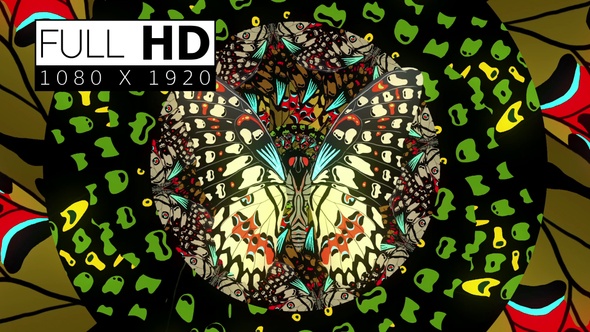 Decorative Butterfly 05