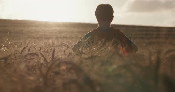 Young boy stands in a golden field during sunset - raising his hands in victory alt
