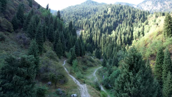 Mountain Trail in the Gorge Through the Forest alt