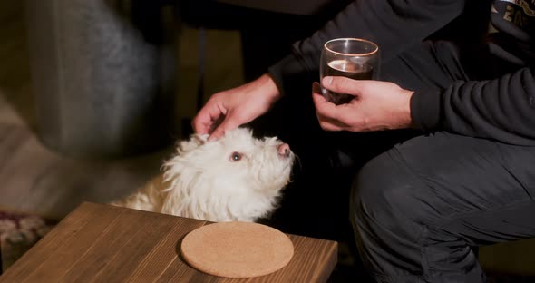 Unrecognizable Man Sitting in Black Clothes with Drink Stroking White Curly Dog alt