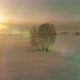Aerial View of Cold Winter Landscape Arctic Field Trees Covered with Frost Snow Ice River and Sun - VideoHive Item for Sale