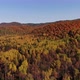 Autumn forest on the horizon - VideoHive Item for Sale