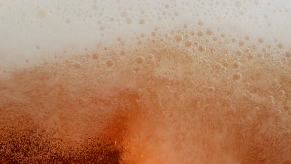 Fresh Cold Beer 31 alt