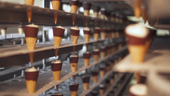 Ice Cream Production, Transportation Waffle-cone with Plombir Ice Cream on Production Line, Dairy alt