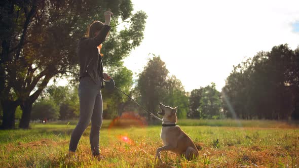 A Young Girl Making Tricks with Her Dog in the Park alt