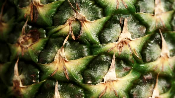 Ananas Fruit Texture. Pineapple Skin Background alt