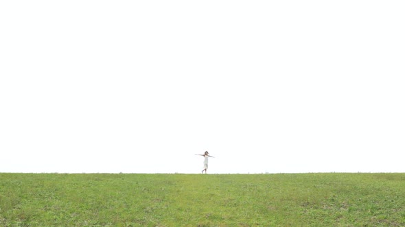 Lady Walking through the Meadow alt