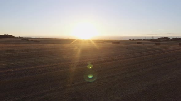 Aerial View of an Open Farming Land with Haystacks Lined Up in Rows alt