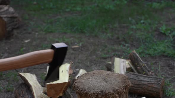 Chopping  Wood 13 alt
