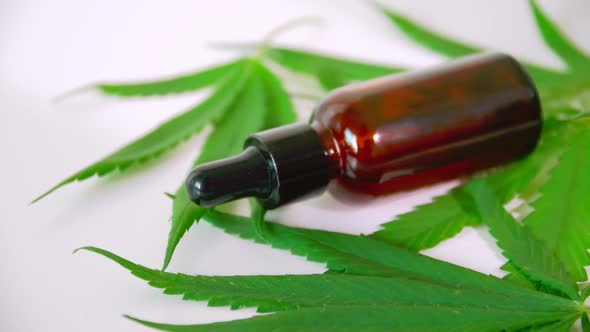 Cannabis oil in the dropper bottle with green leaves. Alternative medicine concept. alt