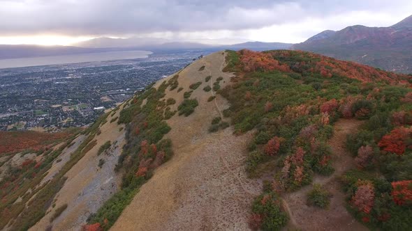 Aerial view of Fall color on landscape of foliage. alt