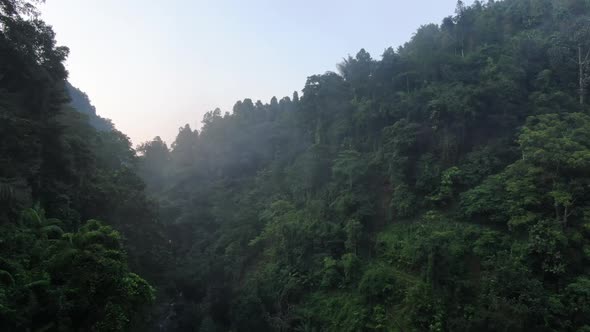 Tiny Waterfall in Tropical Forest alt