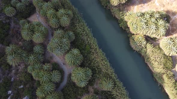 Panorama of Preveli Beach at Libyan Sea River and Palm Forest Southern Crete  Greece alt