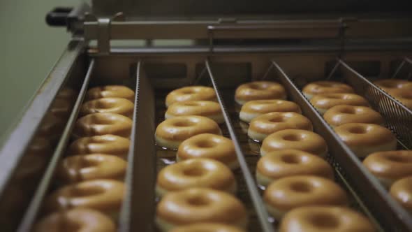 Frying Donuts Close Up alt