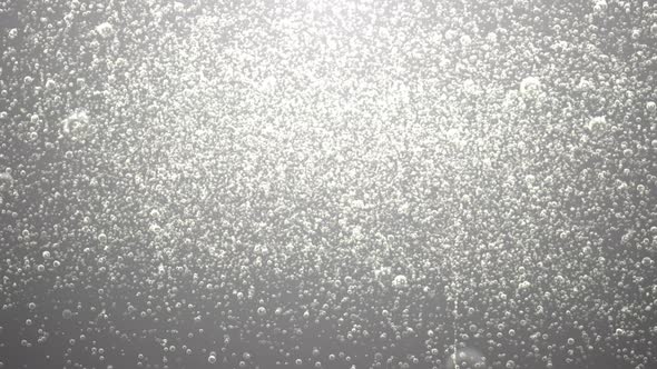 Extra Silver Soda Bubbles Background with Loop