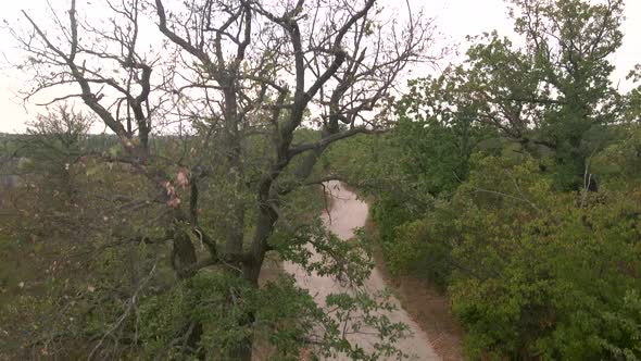 Aerial Shot of Young Sexy Sport Woman Rides Bicycle on Countryside Road Near Stone Quarry at Summer alt