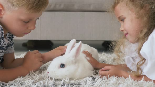 Boy and girl playing with rabbit bunny in living room on a floor