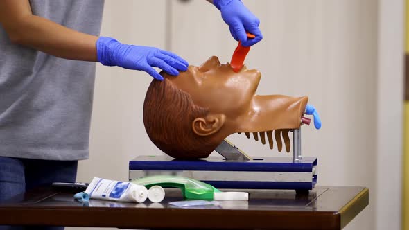 Medical training on a mannequin head. Specialist demonstrates reanimation procedure on a face dummy. alt