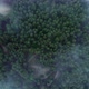 Bird&#39;s eye view of the forest - VideoHive Item for Sale