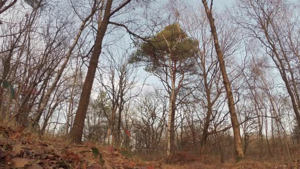 A man mountain biking alt