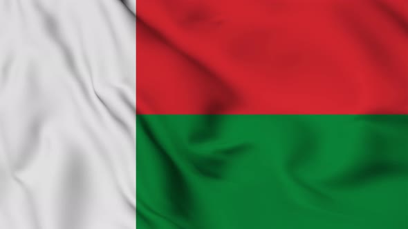 Madagascar flag seamless waving