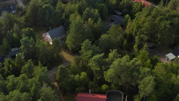 High Angle View of Vacation Houses Between Trees alt