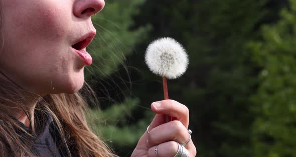 Closeup of Woman Blowing Dandelion Seeds alt