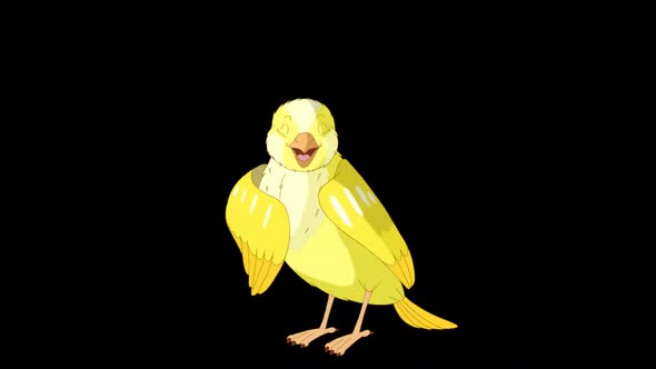 Singing yellow canary alpha matte HD