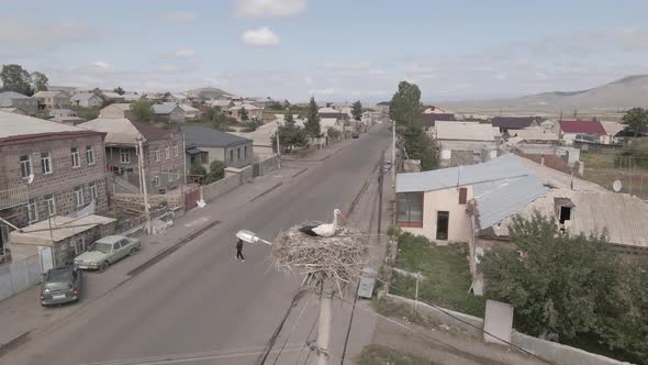 Flying over the white Stork in his nest in Ninotsminda, Georgia alt