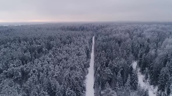 Aerial view of a snowy forest in Estonia alt