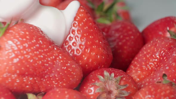 Fresh strawberries are drizzled with cream. Yogurt dripping on strawberries. Organic ripe strawberry