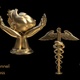 Medical Award Cups - VideoHive Item for Sale