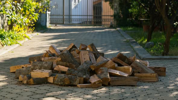Firewood Appear One By One and Formed a Large Pile in the Yard