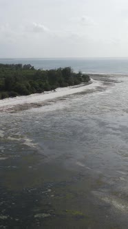 Vertical Video of Low Tide in the Ocean Near the Coast of Zanzibar Tanzania alt