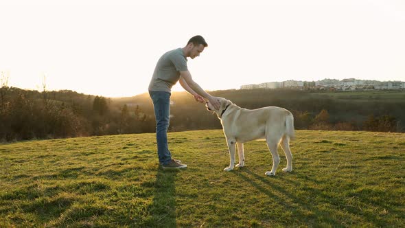 Man Gives Treat To His Dog At Beautiful Sunset