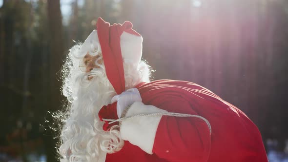 A Portrait of Santa Claus in a Sunny Park Throws a Red Sack with Gifts on His Shoulder alt