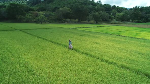 Aerial Drone Footage of Blond Girl in Dress Walking Along the Rice Fields in El Nido Philippines alt
