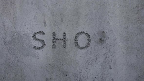 Bullet Hits Shop alt