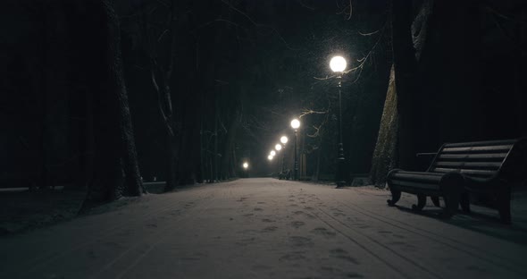 Snowing in City Park at Night Street Lights Glowing in Winter Christmas Season