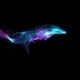 Humpback Whales Particle Flow 03 - VideoHive Item for Sale