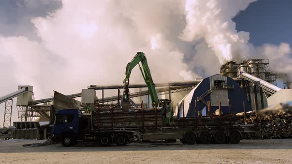 A Track Material Handler is Loading Logs Onto a Conveyor at the Factory