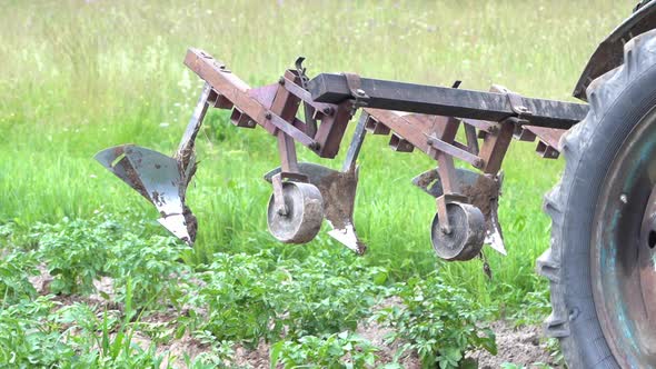 Agricultural Work on a Tractor Mechanized Potato Processing Potato Plowing