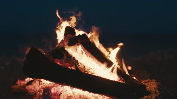 Fire of a Bonfire Made on the Beach By the Sea alt