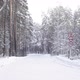 Road Signs on a Snowy Highway - VideoHive Item for Sale