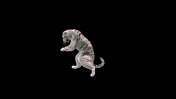 White Tiger Dancing HD alt