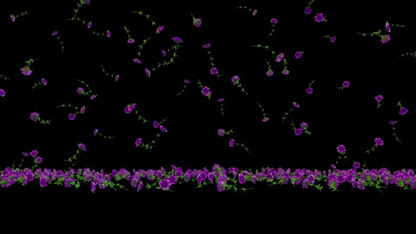 Purple Roses Rain alt