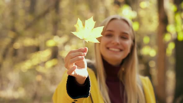 Portrait of smiling woman holding yellow maple leaf. 