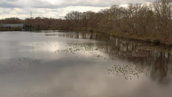 A drone view over a quiet lake, surrounded by dry trees on a cloudy day. The cloudy skies reflect on alt