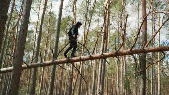 a Man Balances on a Fallen Tree and Looks for a Cellular Signal alt